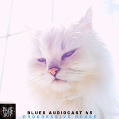 Blues Audiocast 43 ~ #ProgressiveHouse Mix