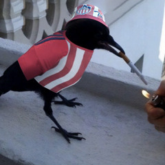 Proceso creativo . TIME