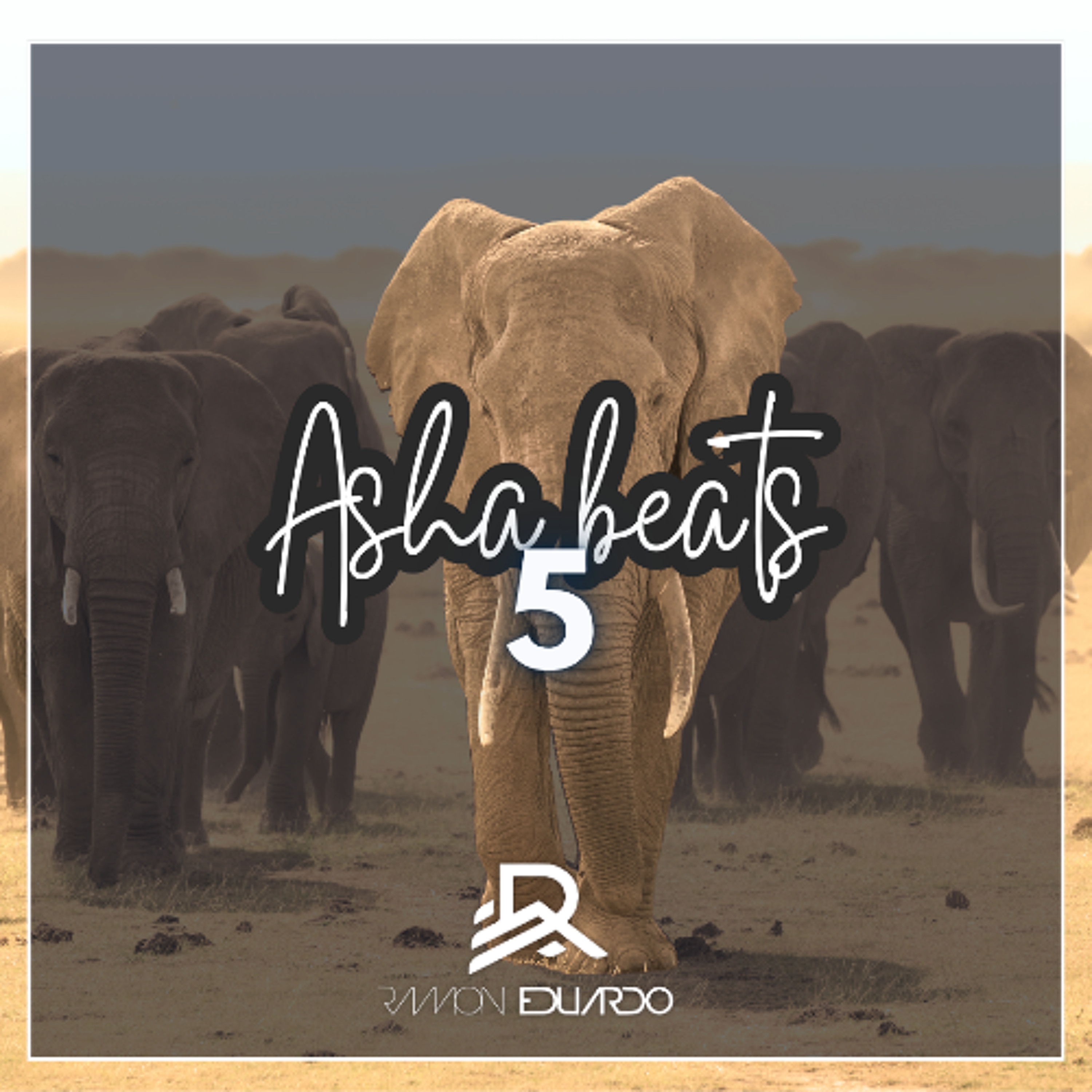 Asha beats 5 episode artwork