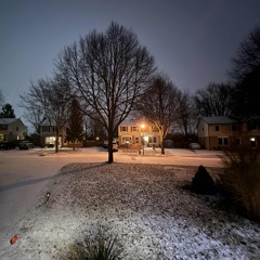 Cold Nights