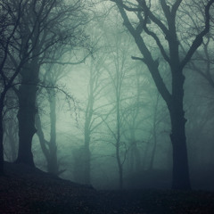 Disintegrated Memories (dispersed signal)