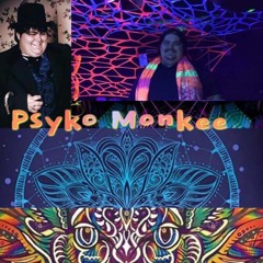 Psyko Monkee - Enchanted Forest 11  (March 2021)