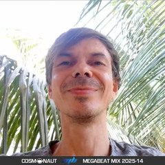 MegaBeat mix 2025-14