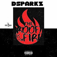 DSparkz (The Roof Is On Fire  )