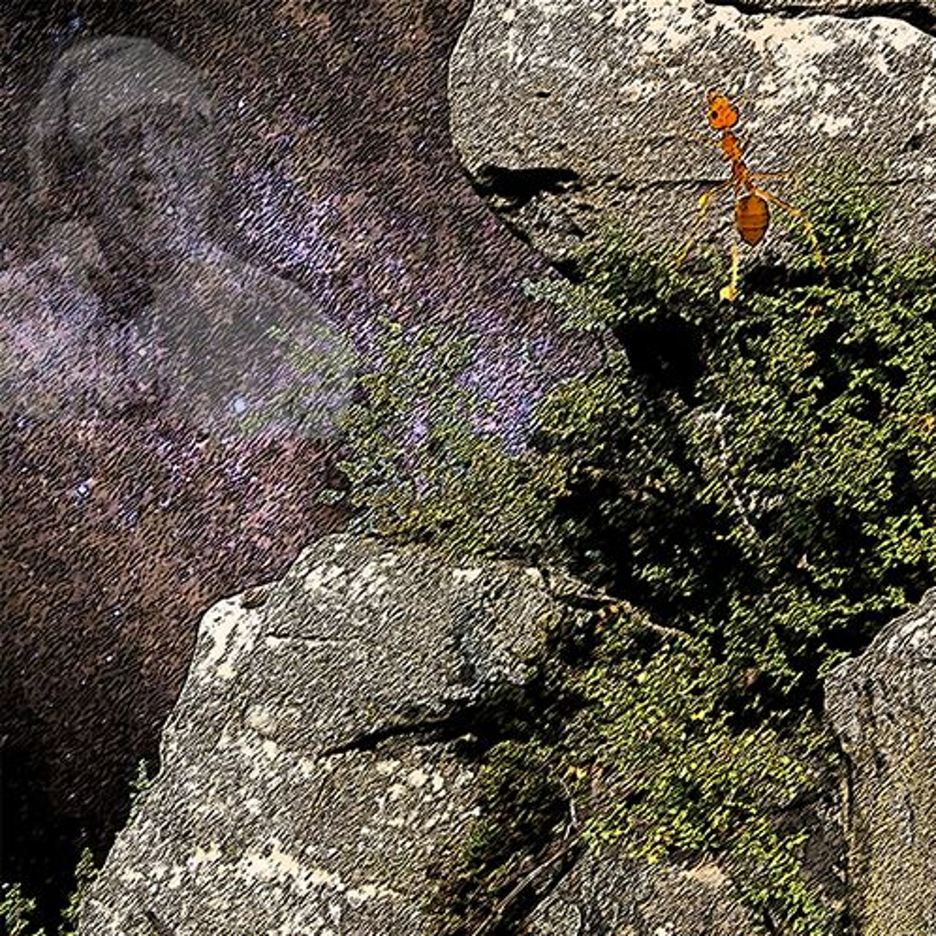Mini Massive 3 or Fieldtrip 160 episode artwork
