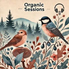 Monojoke - Organic Sessions #2
