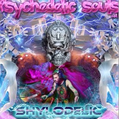 Psychedelic Souls 28.09.2024 (Arnhem.Netherlands)