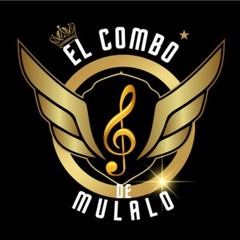 El Combo De Mulalo - No Es Mi Problema - Tik Tok Percapella Intro - 130 BPM