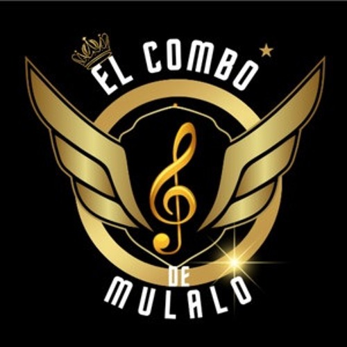 El Combo De Mulalo - No Es Mi Problema - Tik Tok Percapella Intro - 130 BPM