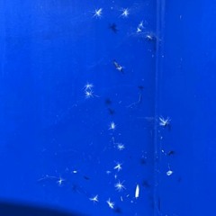 Executive Produced - NEW DEADIFY JARODPANDA ALBUM - RENDER