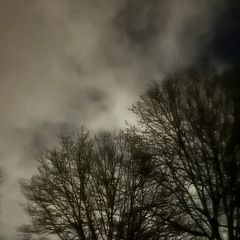 wai - runway rebel (prod.jentl)