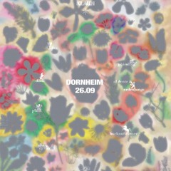 dj sterni // klaun at Dornheim Würzburg 26.09.2025