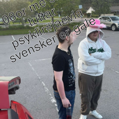 08or me små tuttar psyklir #jævla svensker er gale