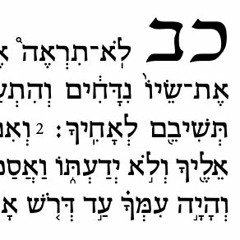 If You Find It (Deuteronomy 22:1-3)