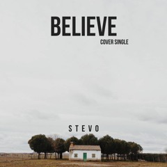 StevO - Believe (ASE Cover Master)