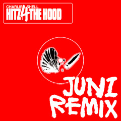 HITZ 4 THE HOOD (JUNI REMIX)