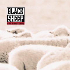 Black Sheep