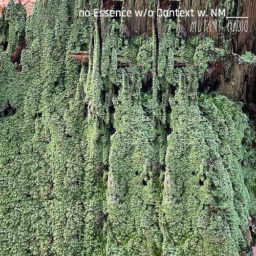 no Essence w/o Context {171125]