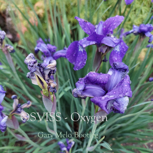 OSVISS - Oxygen (Gary Melo Bootleg)