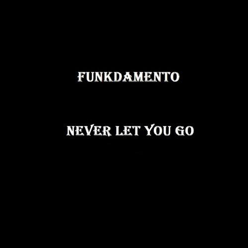 Funkdamento - Never Let You Go