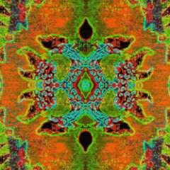 INNER TRIBE_01_INNER TRIBE