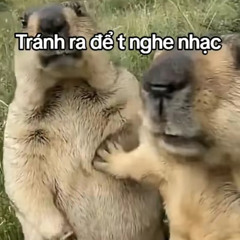 Ha Tinh province    -    VOL2    - Anh Quân ( full Thái Hoàng )