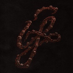 Jackson Veil Panther - If