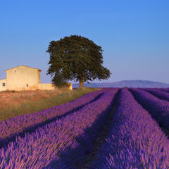 Aix en Provence