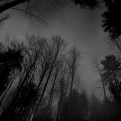 Freak Show Forest 149-158 Bpm
