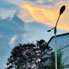 message (prod plazy)