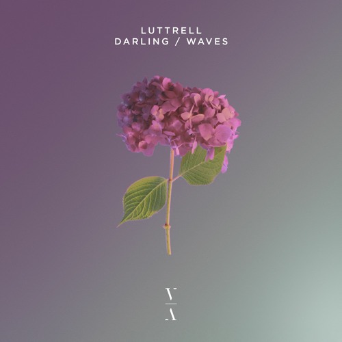 Luttrell - Darling