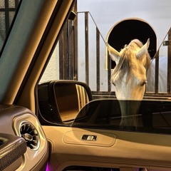 RSA - سيد اللطف والذوق