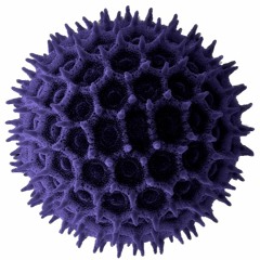 CROSSFIRE - MainConceptMpegEncoder1.4.2 Kg