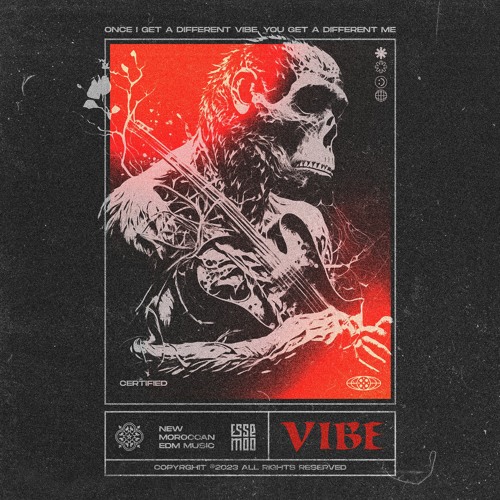 The Vibe (Originale Mix)