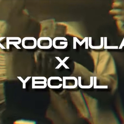 Kroog Mula x Ybc Dul - BedRock🦈🫡