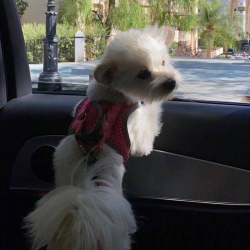 volume up windows down