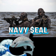 Navy $eal