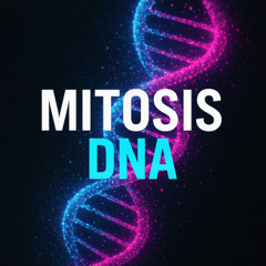 Mitosis DNA