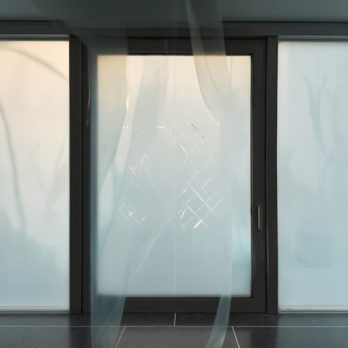 Looked Me Right In The Eye