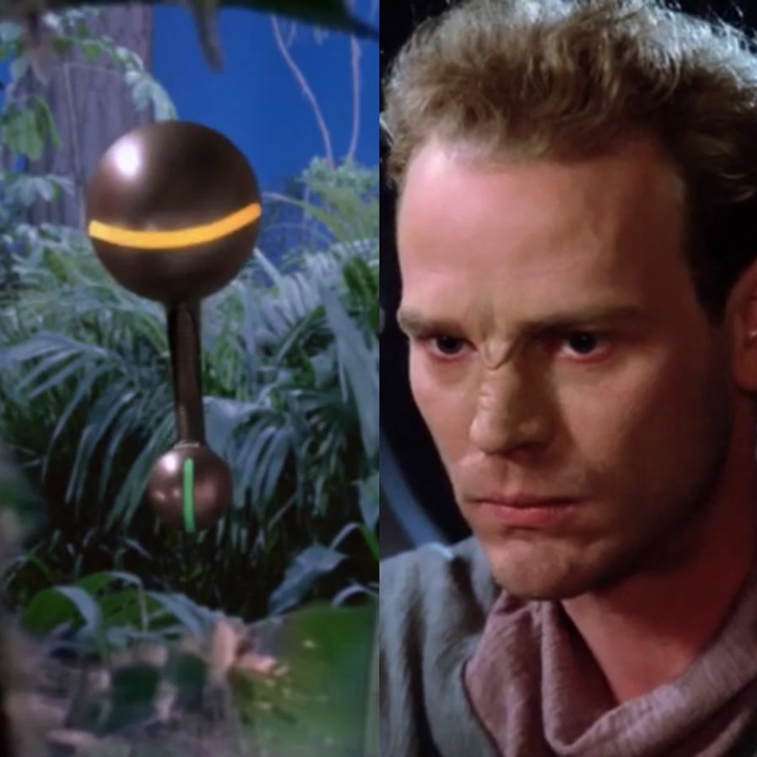 A Star to Steer Her By