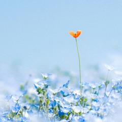 Support Yourself - Warmth