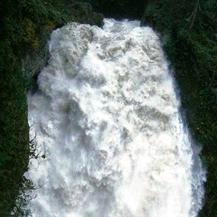 Bundle of Joy 1/25/25