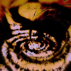 𝖕𝖗𝖊𝖒𝖎𝖊𝖗𝖊#324 📢 softi - Attention [Bardouin Music]