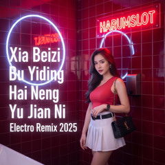 陈雅森 - 下辈子不一定还能遇见你 (Xia Beizi Bu Yiding Hai Neng Yu Jian Ni) Electro Remix 2025 | Harumslot