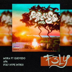 Mora Ft Quevedo - APA (F3LY Hype Intro)