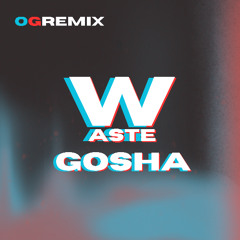 WASTE REMIX