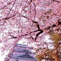 💔 Deny The Pain prod 6200bpm