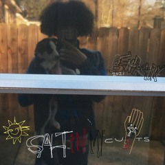 salt in my cuts (prod. lazymax)