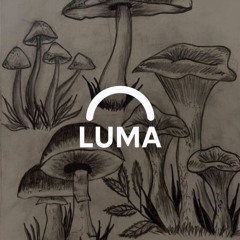 LUMA - Extasy Forest