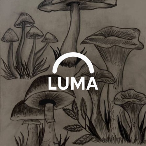 LUMA - Extasy Forest